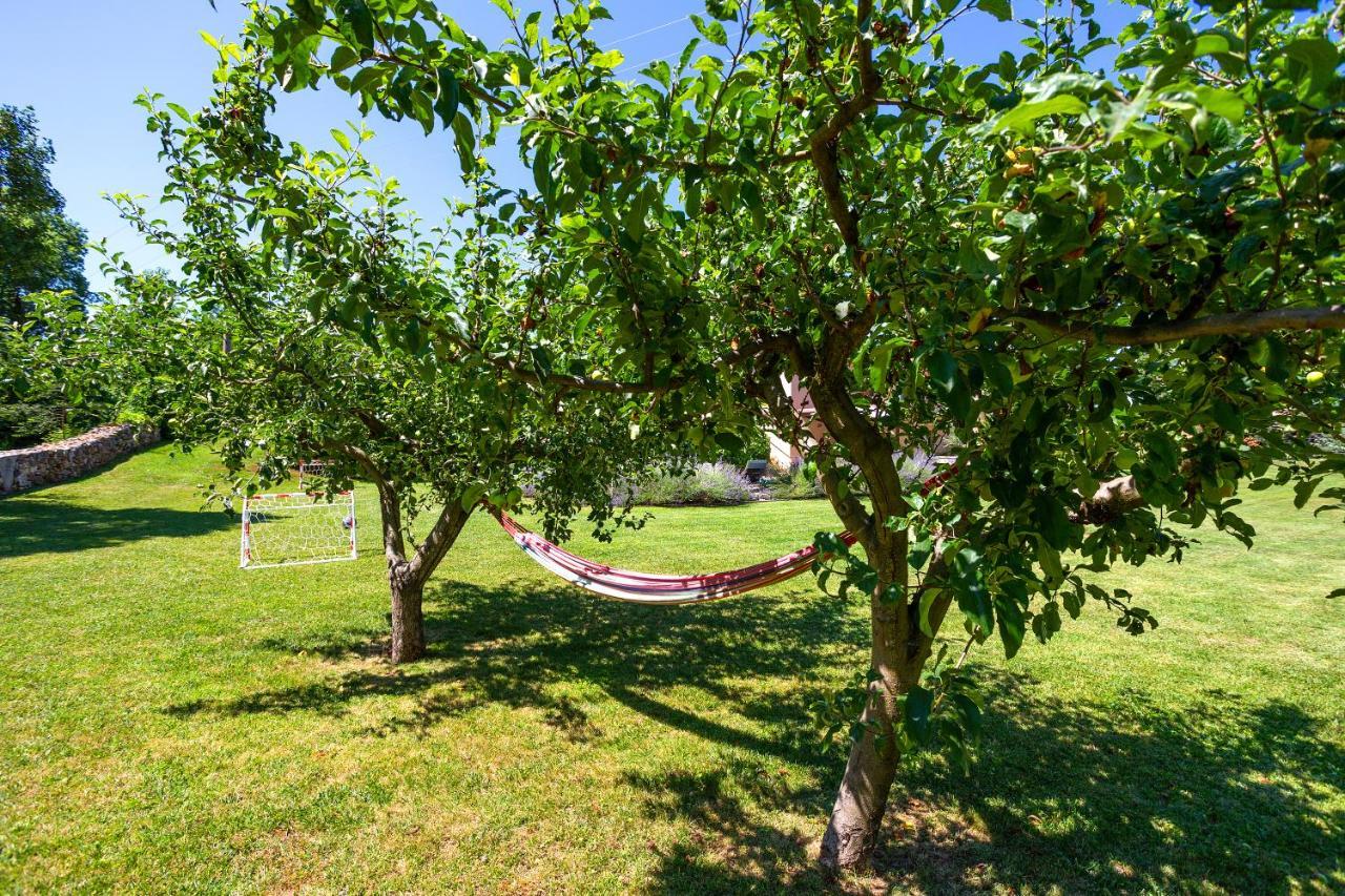 Villa Krizanci Žminj Dış mekan fotoğraf