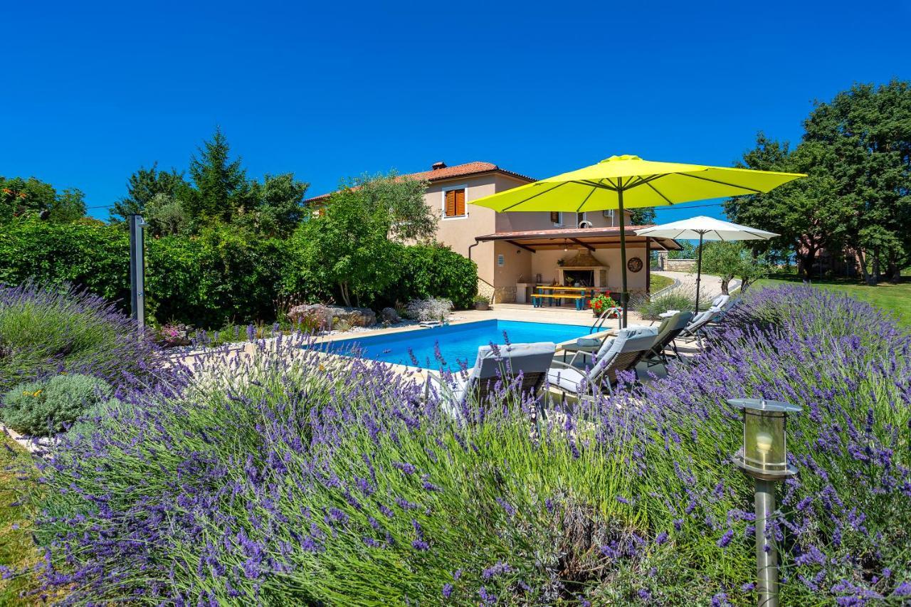 Villa Krizanci Žminj Dış mekan fotoğraf