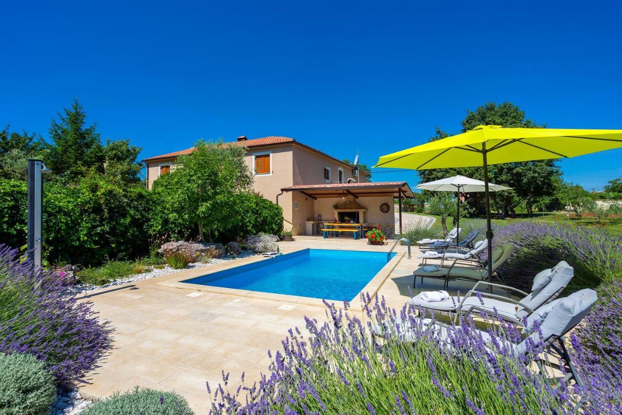 Villa Krizanci Žminj Dış mekan fotoğraf